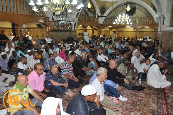 3ed ad7a ma7modiya (73).JPG